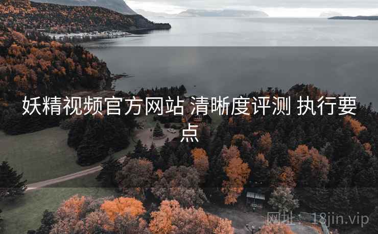 妖精视频官方网站 清晰度评测 执行要点