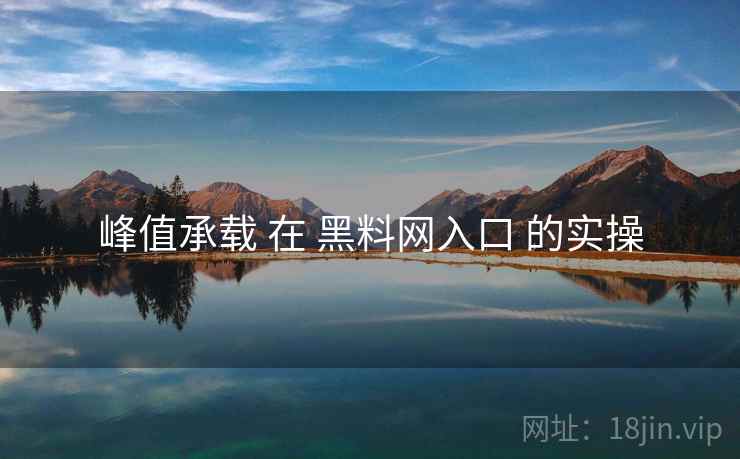 峰值承载 在 黑料网入口 的实操