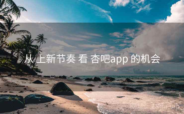 从 上新节奏 看 杏吧app 的机会