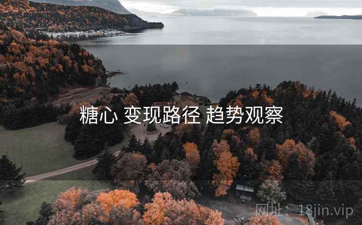 糖心 变现路径 趋势观察